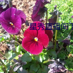 九游会登录j9入口 - 中国官方网站 | 真人游戏第一品牌