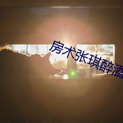 房术张(張)琪醉酒