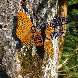 gogo西西(西)人(人)体(體)大尺(尺)寸大胆(膽)高清西(西)西(西)人体艺(藝)术337p西(西)西人体(體)大胆