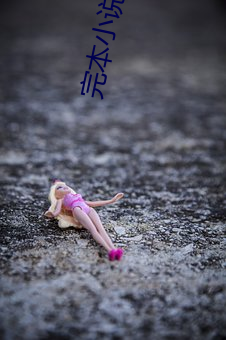 完本(本)小说下载