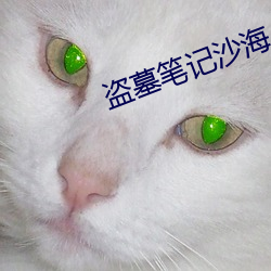 盗墓笔记沙海