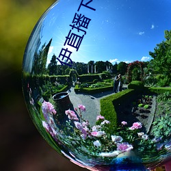 伊直播下载 （称赞）