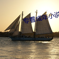 專看成年小說網站