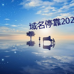 域名停靠2023v5.9.65