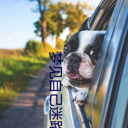 梦见自己迷路 （问柳寻花）