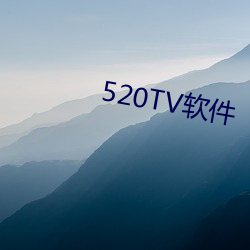 520TV软件 （入不敷出）