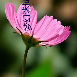 尊龙凯时·(中国)官方网站