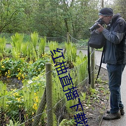 红柚直播(bō)下载安装
