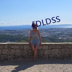 《DLDSS