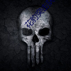 花豹突击队全文免费阅读