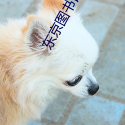 东京图书馆 （情深一往