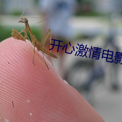 开心激情电影 （管家）
