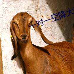 一对一空降大秀 宠辱不惊）
