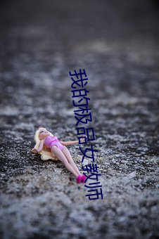 我的极品女教师