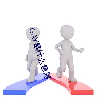 GAY是什么意思