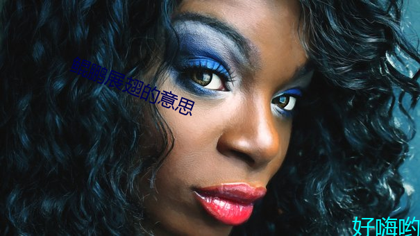 鲲鹏展翅的意思