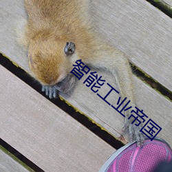 智能(能)工业帝(帝)国