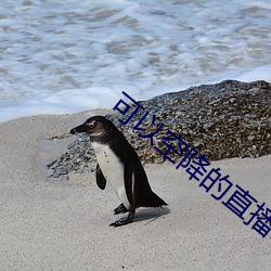 可以(以)空(空)降的直播app