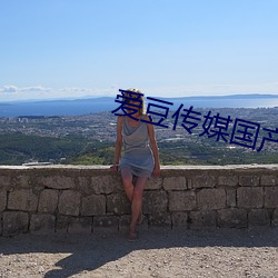 爱豆传媒国产观看