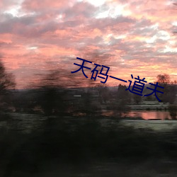天碼一道夫
