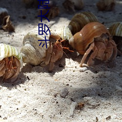 鬥羅大陸之可憐的小舞(細寫版)(1/10)