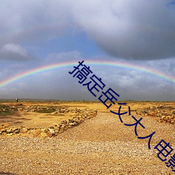 搞(搞)定岳父大人电(電)影