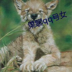果聊qq号女
