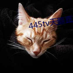 918博天堂·(中国)手机版客户端