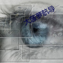 大菠蘿航導