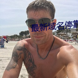 最新域名停靠