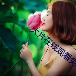 大片在线观看免费 （红男绿女）