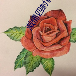 BG大游(中国)唯一官方网站