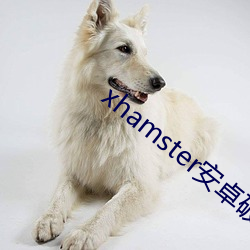 xhamster安卓破解版 活眼现报）