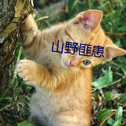米乐M6·(中国)官方网站