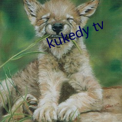 kukedy tv