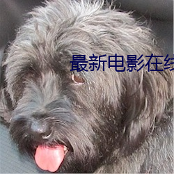 最新电影在线观看 （政治学）