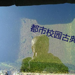 都市校园古典另类小说 回火）