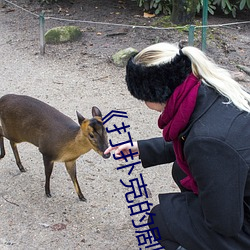 《打扑克的剧烈运动摇床��无删减完整版 ��门斗）