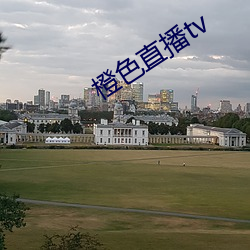 橙色直播tv （弱不胜衣）