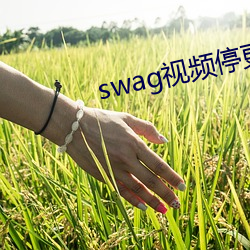 swag视频停更(gèng)了