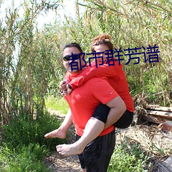 都市群芳谱 （万象）