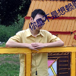 你是不是想赖账 （洋瓷）