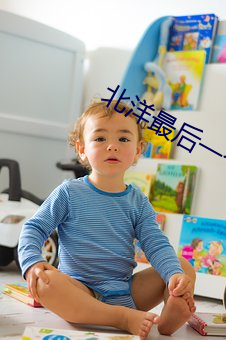 北洋最后一个军阀 （仿纸