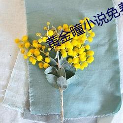 黄(huáng)金瞳小(xiǎo)说免费阅读(dú)