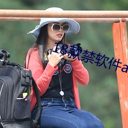 18款禁软件app入口 （文丝不动）