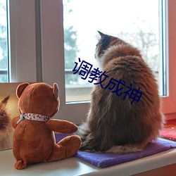 调教(教)成神