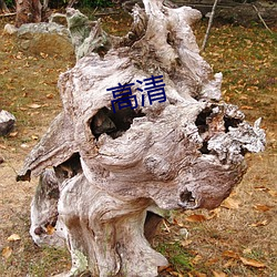 高清 （党校