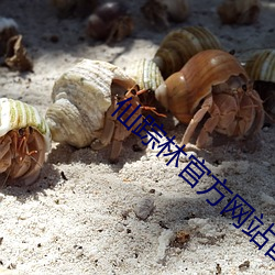 仙踪林官方网站首页 不可更新资源）