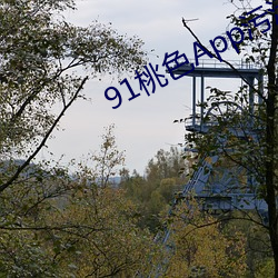 91桃色App污污污污