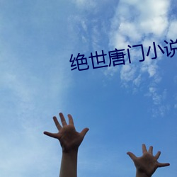 絕世唐門小說